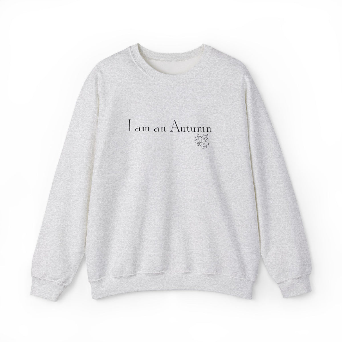 I Am an Autumn Embroidered Crewneck Sweatshirt Black🍂