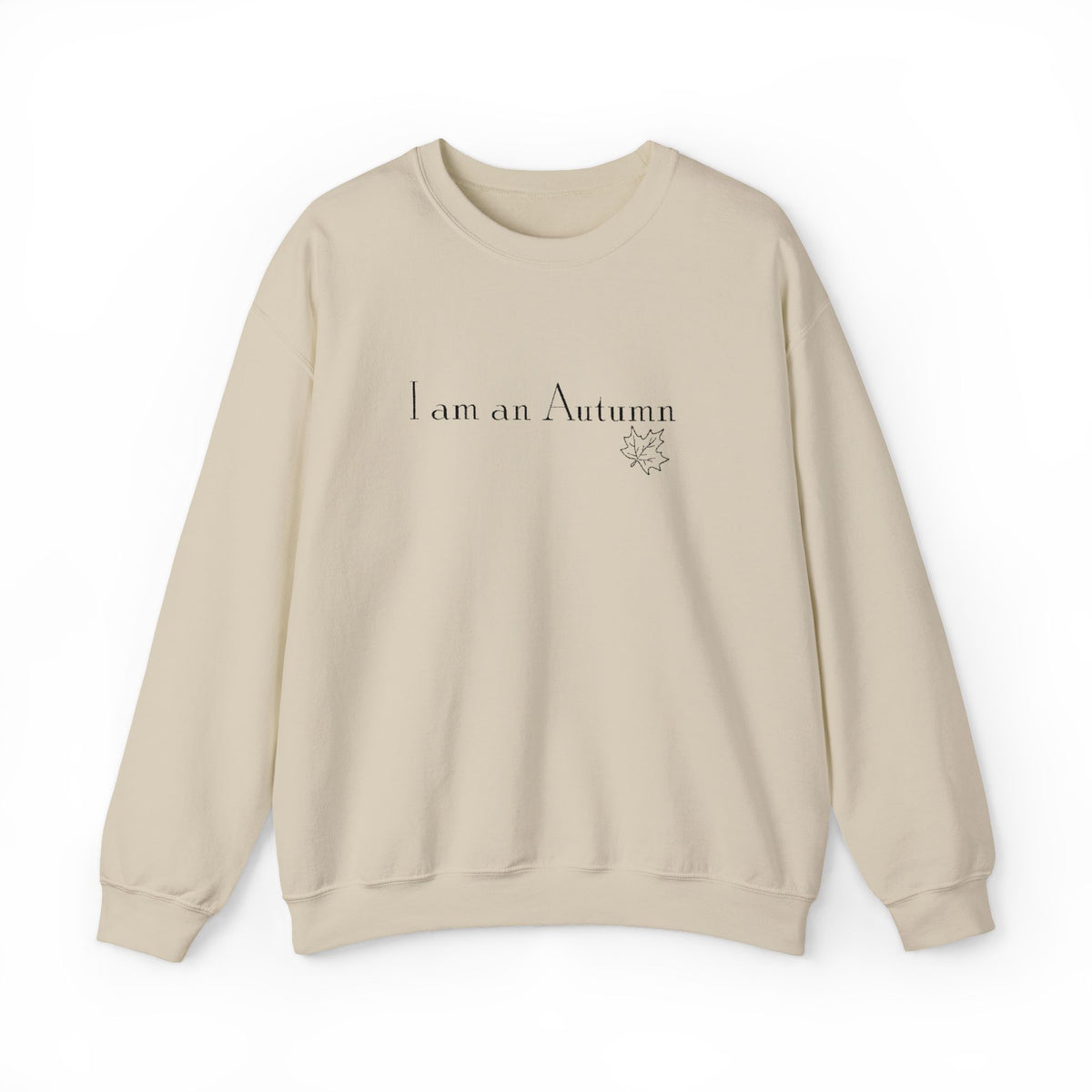 I Am an Autumn Embroidered Crewneck Sweatshirt Black🍂