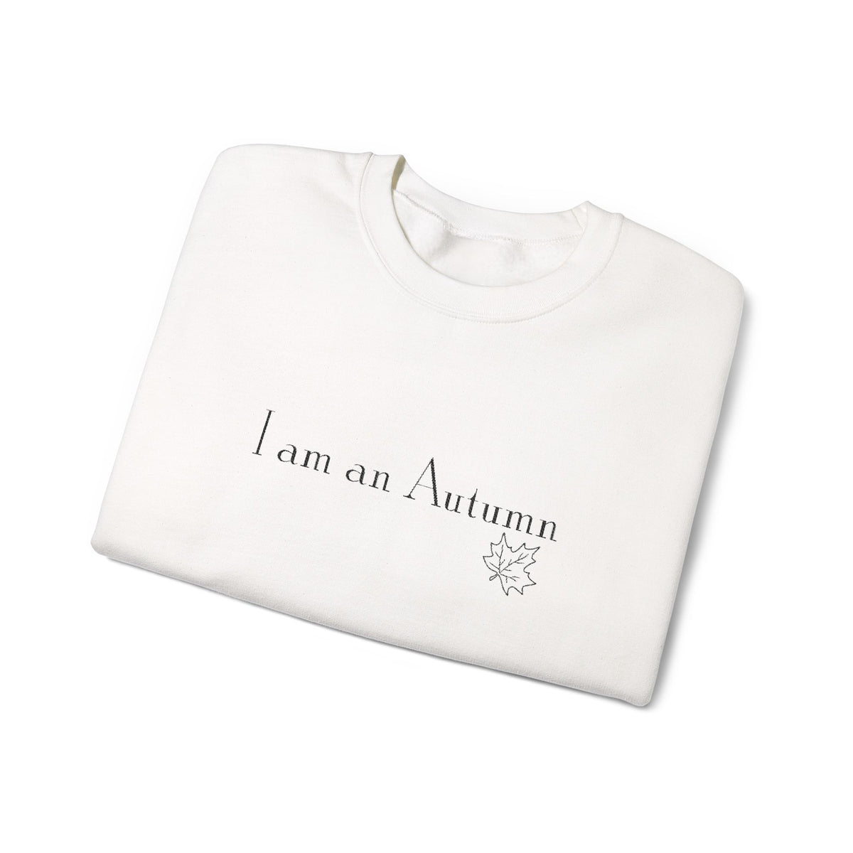 I Am an Autumn Embroidered Crewneck Sweatshirt Black🍂