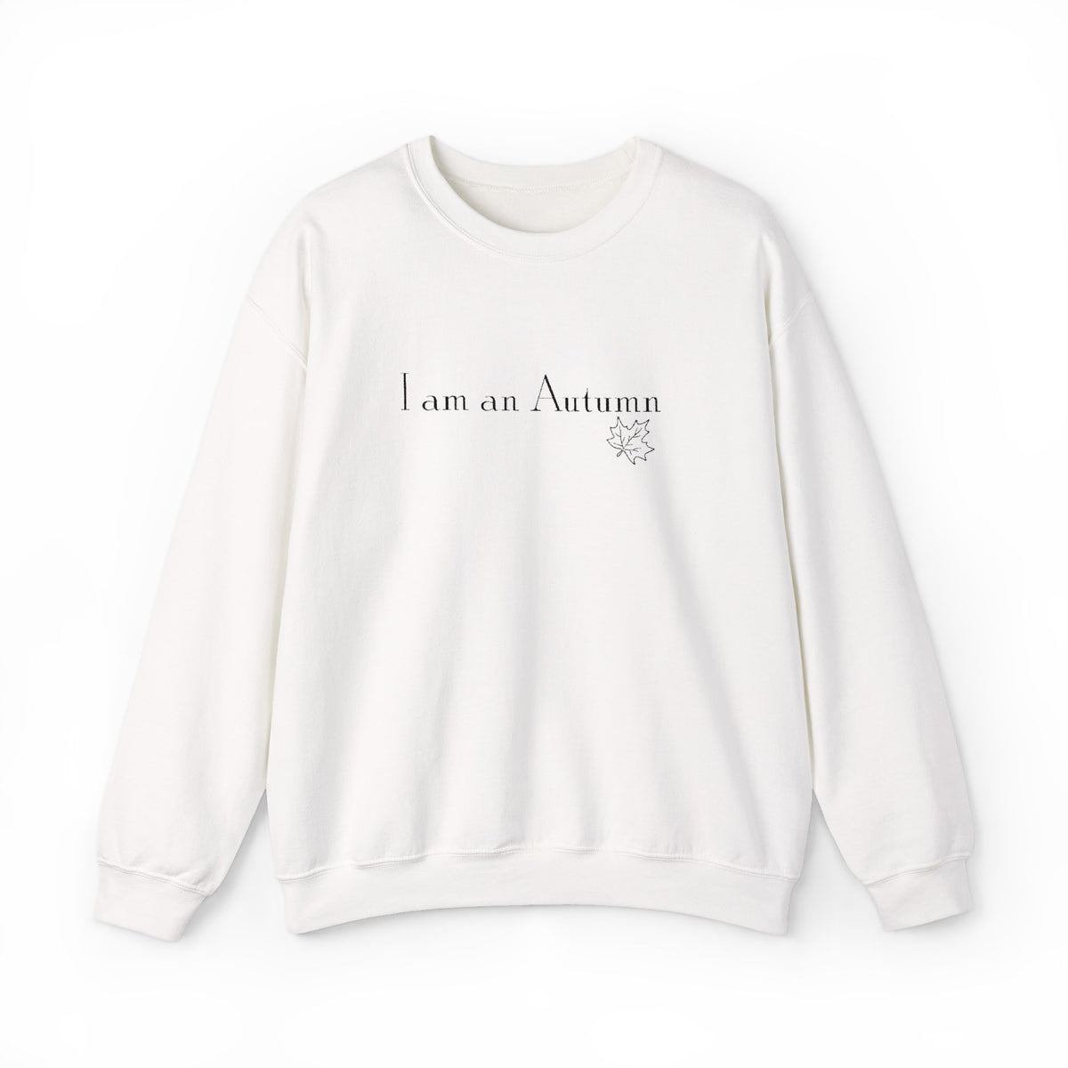 I Am an Autumn Embroidered Crewneck Sweatshirt Black🍂