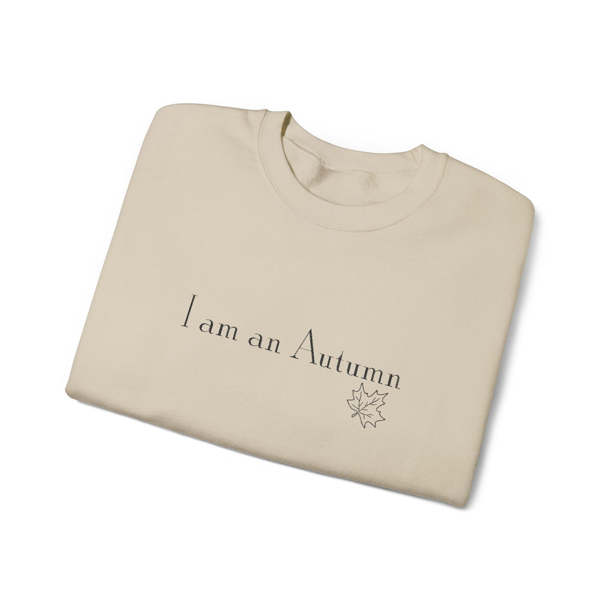 I Am an Autumn Embroidered Crewneck Sweatshirt Black🍂